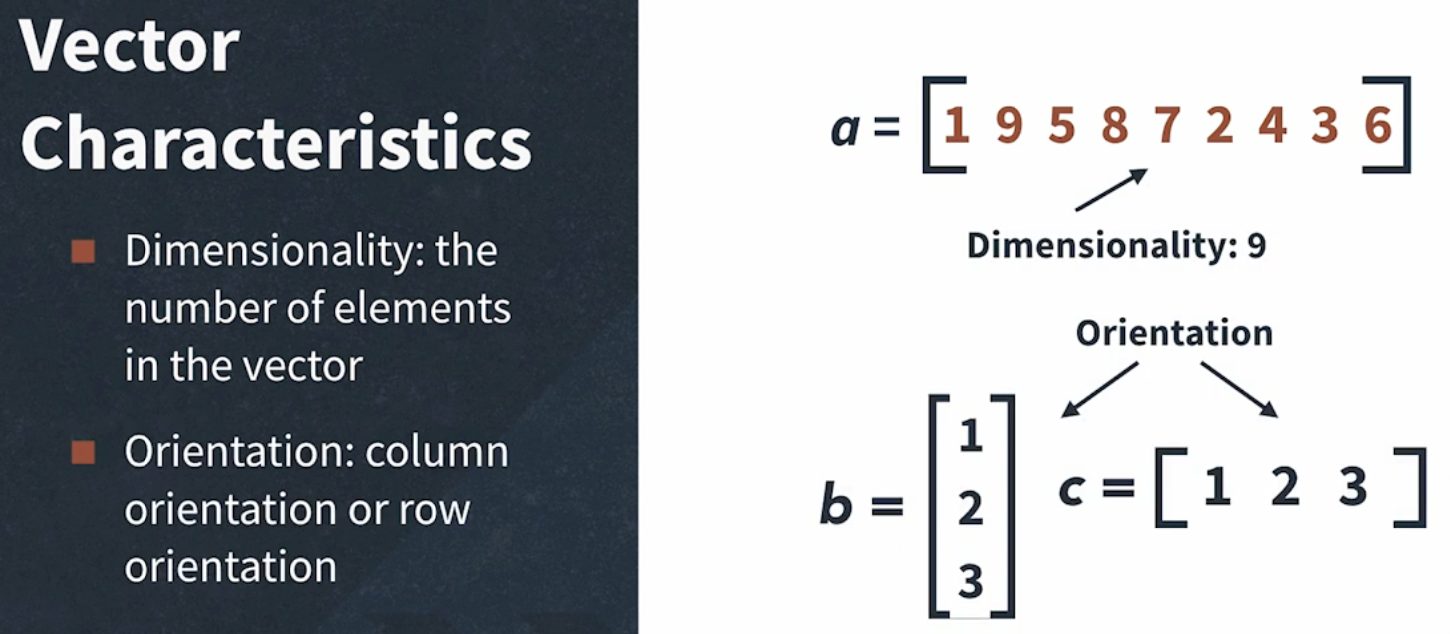 Vectors Characteristics