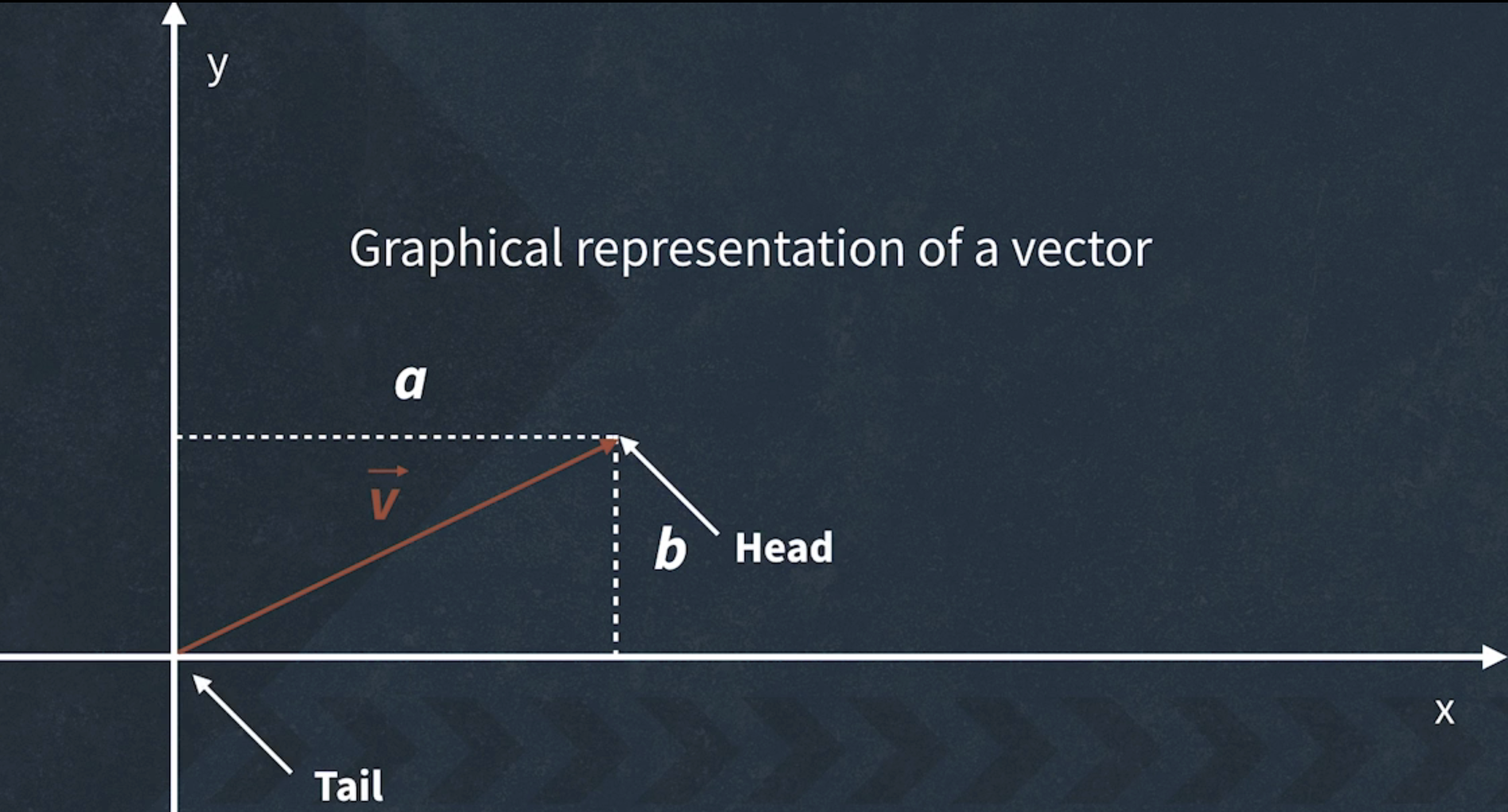 Vector Graph