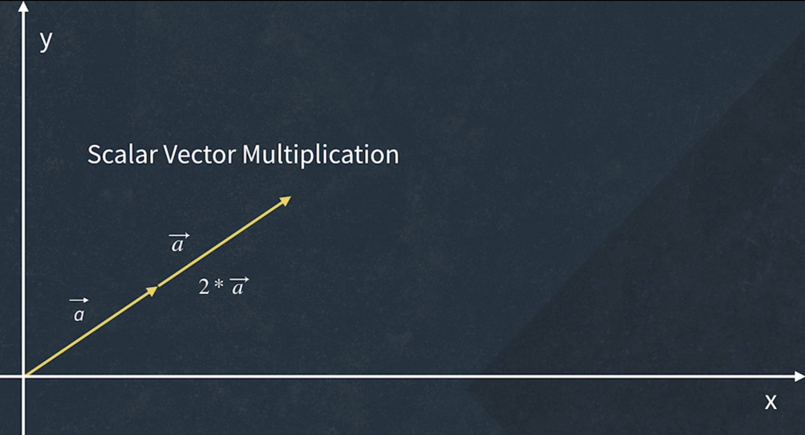 Scalar Vector Multiplication
